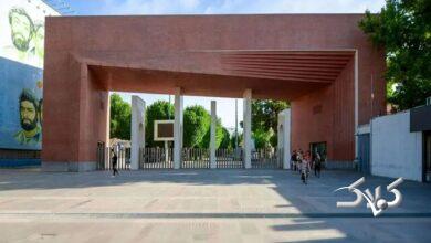 دانشگاه شریف