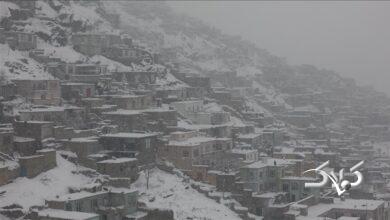 برف و باران ۶۱ افغان را به کام مرگ کشاند! +عکس