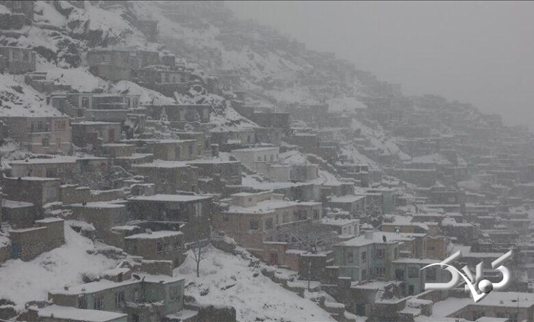 برف و باران ۶۱ افغان را به کام مرگ کشاند! +عکس
