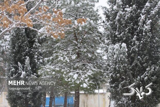 بارش برف و باران در راه استان ایلام