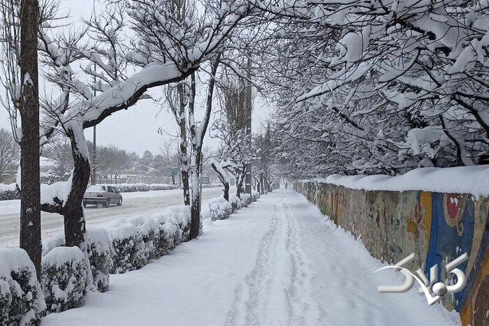 بارش برف - سرما - یخبندان