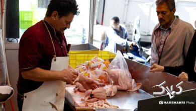 بازار مرغ و گوشت در انبار نفت