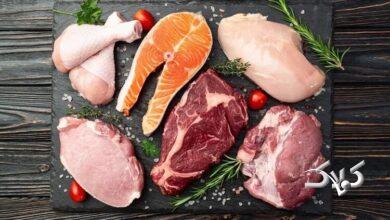 پودر پروتیین