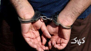 دستگیری سارق