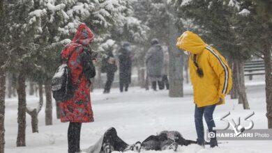 برف سامانه بارشی زمستان