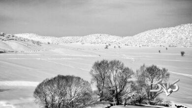 ایران برفی 1404