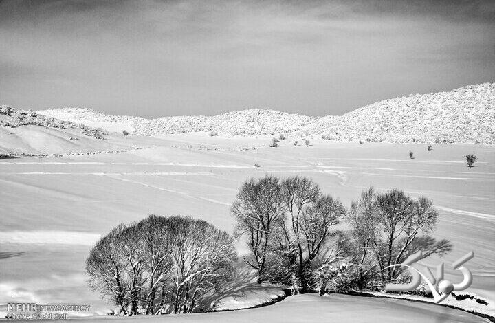 ایران برفی 1404