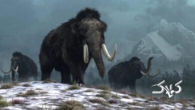 نخستین نفسهای ماموت در عصر دیجیتال