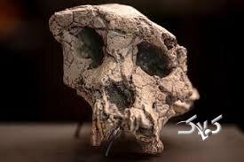 کشف اسرار ۷ میلیونساله: