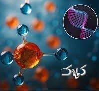 ر ماشین کوانتومی