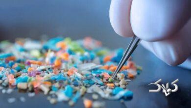 قربانی خاموش زبالههای پلاستیکی