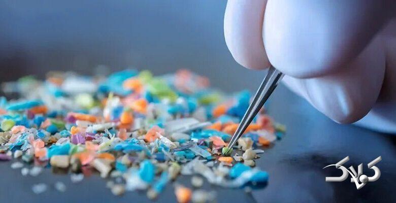 قربانی خاموش زبالههای پلاستیکی