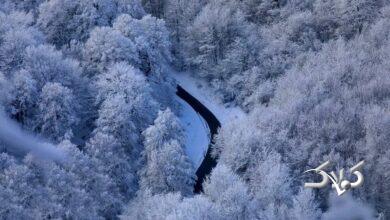 Screenshot 2026-01-17 at 18-08-04 برف در سوادکوه.webp (WEBP Image 1000 × 667 pixels) — Scaled (96%).png