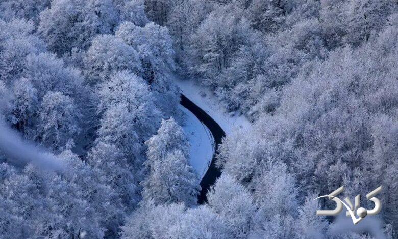 Screenshot 2026-01-17 at 18-08-04 برف در سوادکوه.webp (WEBP Image 1000 × 667 pixels) — Scaled (96%).png