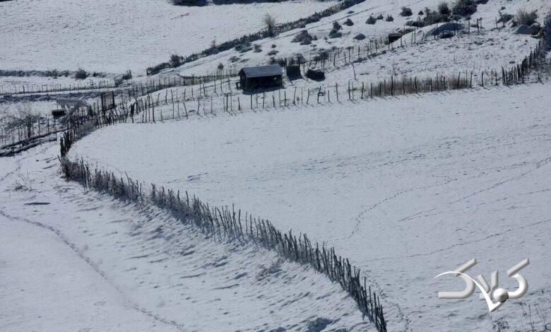 Screenshot 2026-01-17 at 18-09-52 برف در سوادکوه (5).webp (WEBP Image 1000 × 667 pixels) — Scaled (96%).png