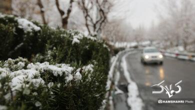 بارش برف زمستانی در تهران