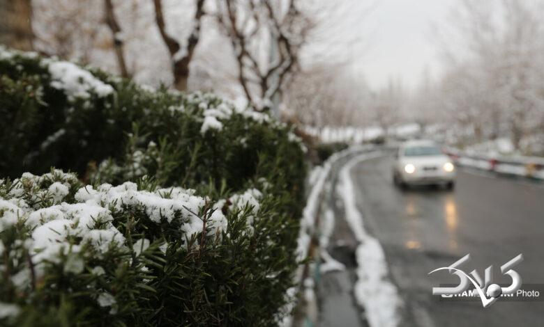 بارش برف زمستانی در تهران