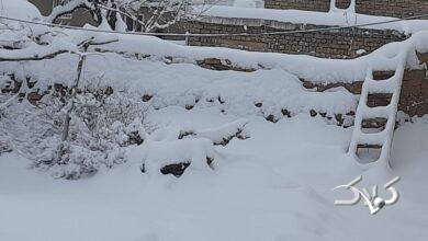 برف در ابهر