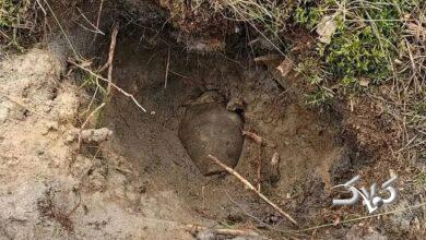 کوزههای گنج