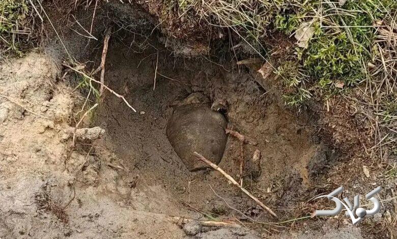 کوزههای گنج