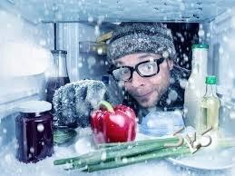 تغذیه زمستان