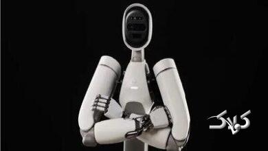 ربات انساننما