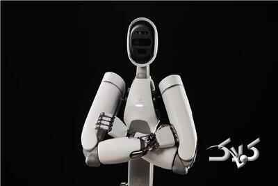 ربات انساننما