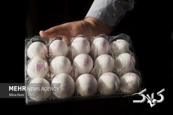 پیشبینی قیمت تخممرغ، از هر شانه ۳۶۰۰۰۰ تا ۴۲۰۰۰۰ تومان