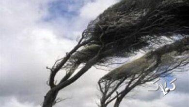 تندباد شدید در شرق استان سمنان خساراتی به بار آورد