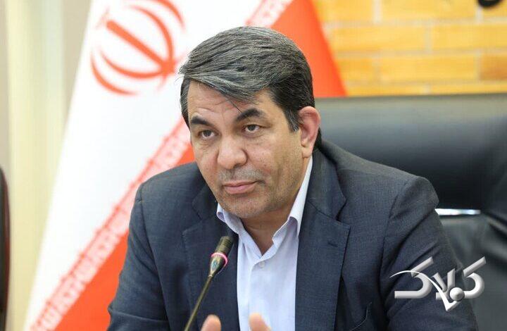 طالبی: حمایت یارانهای دولت مستقیماً به مصرفکنندگان اختصاص مییابد