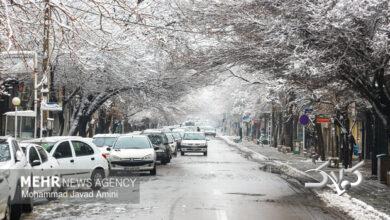 چاشم ۲۳ سانتی متر برف آمد؛ آمار تفکیکی بارشها در استان سمنان