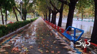 بارش باران در همدان
