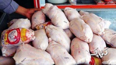 مرغداران هرکیلو مرغ را با 40 هزار تومان ضرر میفروشند