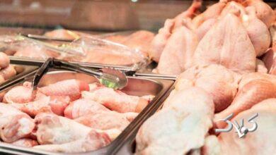 علت رشد سریع مرغهای صنعتی چیست؟/ بال و گردن مرغ محل تزریق هورمون است؟