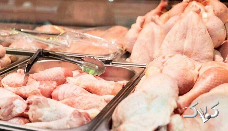 علت رشد سریع مرغهای صنعتی چیست؟/ بال و گردن مرغ محل تزریق هورمون است؟