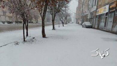 بارش باران و برف در کشور؛ هشدار سازمان هواشناسی برای این استان ها