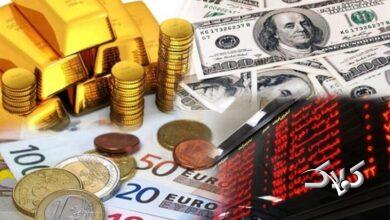 سیگنال مسقط به تهران: از صعود بورس تا عقبنشینی دلار و طلا