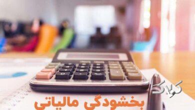 بخشودگی خودکار جرایم مالیاتی تا 700میلیون/ نیاز به درخواست مودی نیست