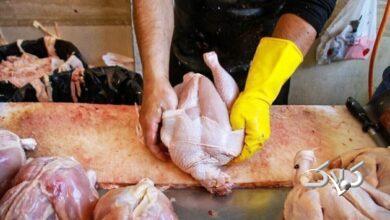 شوک بزرگ قیمتی در بازار مرغ / قیمت مرغ ۱۵۰ هزار تومان شد