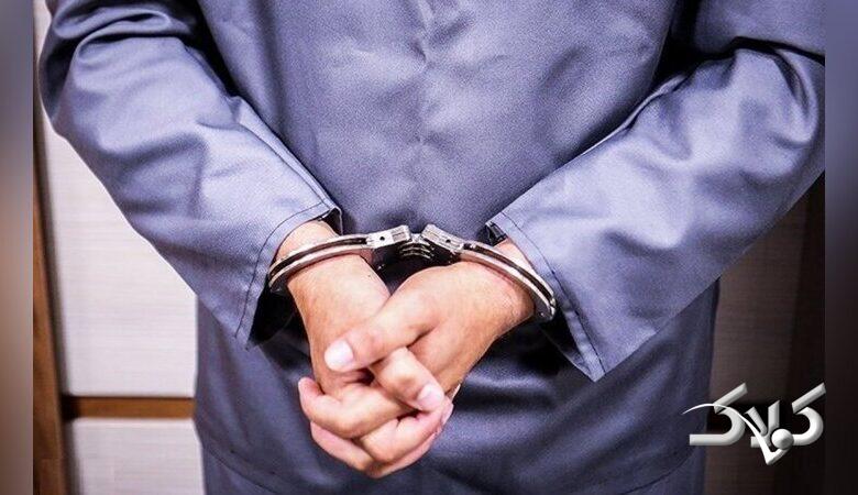 قاتل ملیکا دستگیر شد+ جزئیات