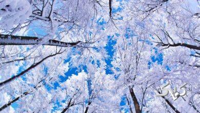 اعلام زمان ورود سامانه بارشی جدید به کشور /بارش برف و باران در ۱۹ استان