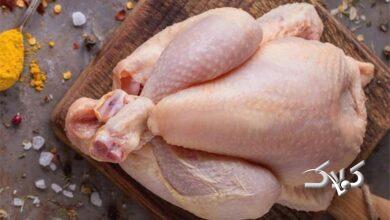 قیمت جدید مرغ توسط وزارت جهادکشاورزی اعلام شد+ جدول