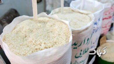 قیمت جدید برنج ایرانی در بازار 2 اسفند 1404 + جدول