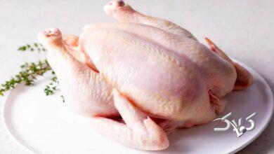 هشدار مرغداران درباره تبعات گرانی نهادهها بر قیمت مرغ !