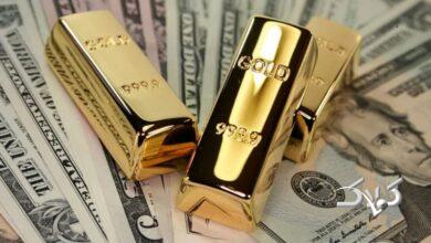 طلا بزرگترین دارایی ذخیره جهانی شد