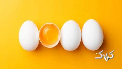 قیمت جدید تخم مرغ در بازار