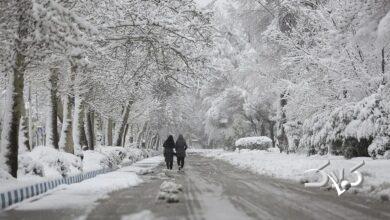 بارش قطعی برف، باران و طوفان شدید در این استانها؛ قدرتنمایی زمستان ادامه دارد