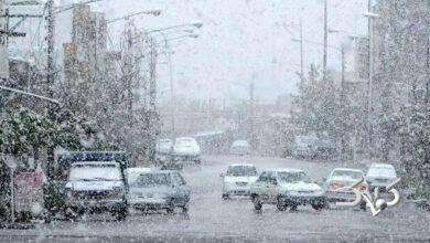 بارش برف در چالوس به ۳۵ سانتیمتر رسید