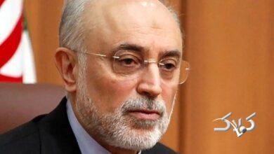 خوشبینی محتاطانه صالحی به مذاکرات ایران و آمریکا