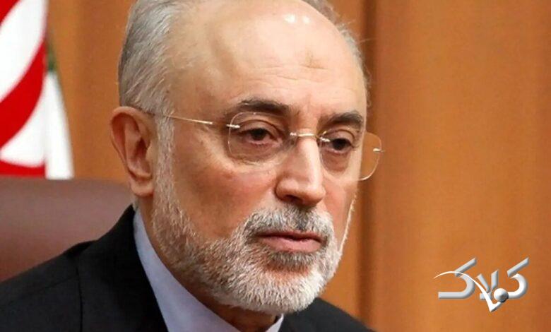 خوشبینی محتاطانه صالحی به مذاکرات ایران و آمریکا